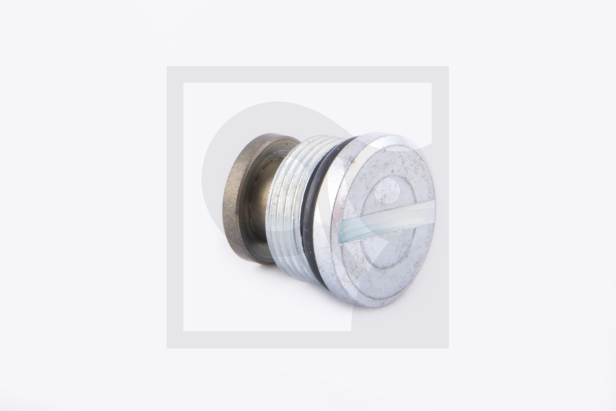 CHECK VALVE,ASSEMBLY