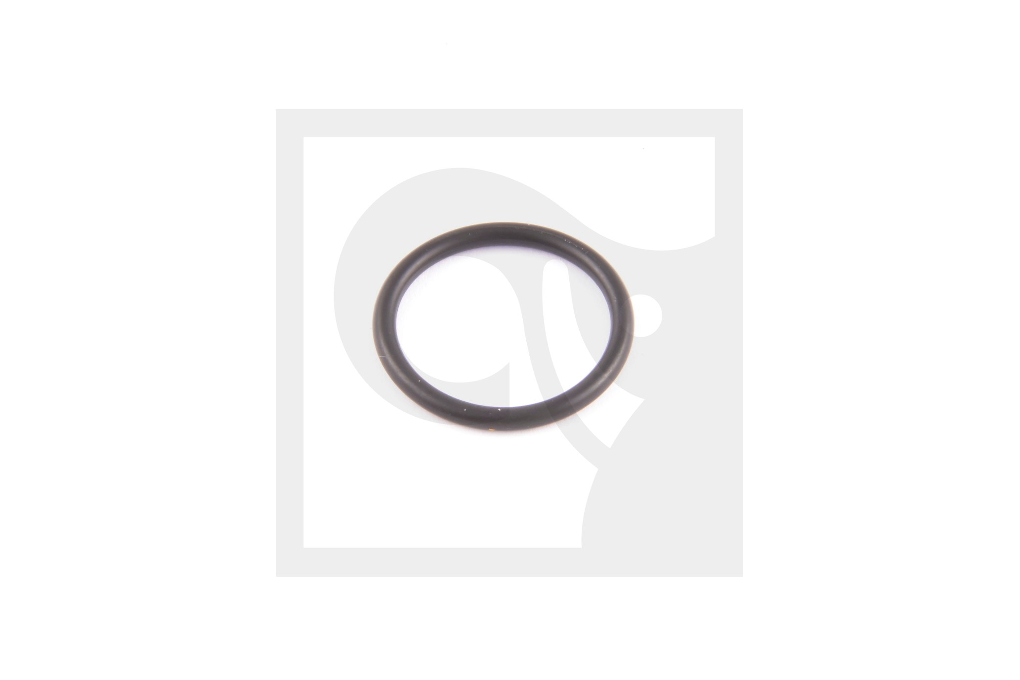 O-RING