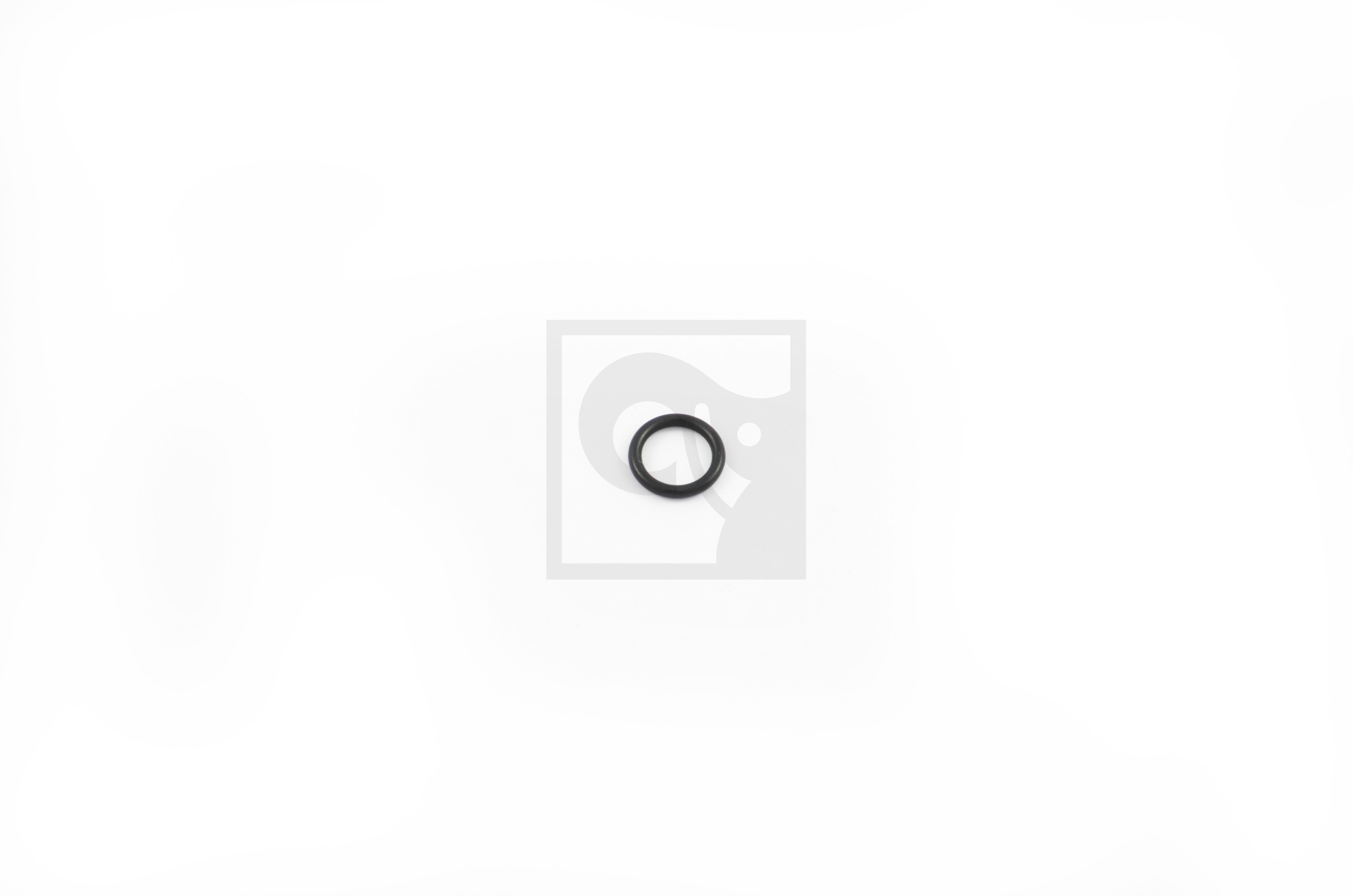 O-RING