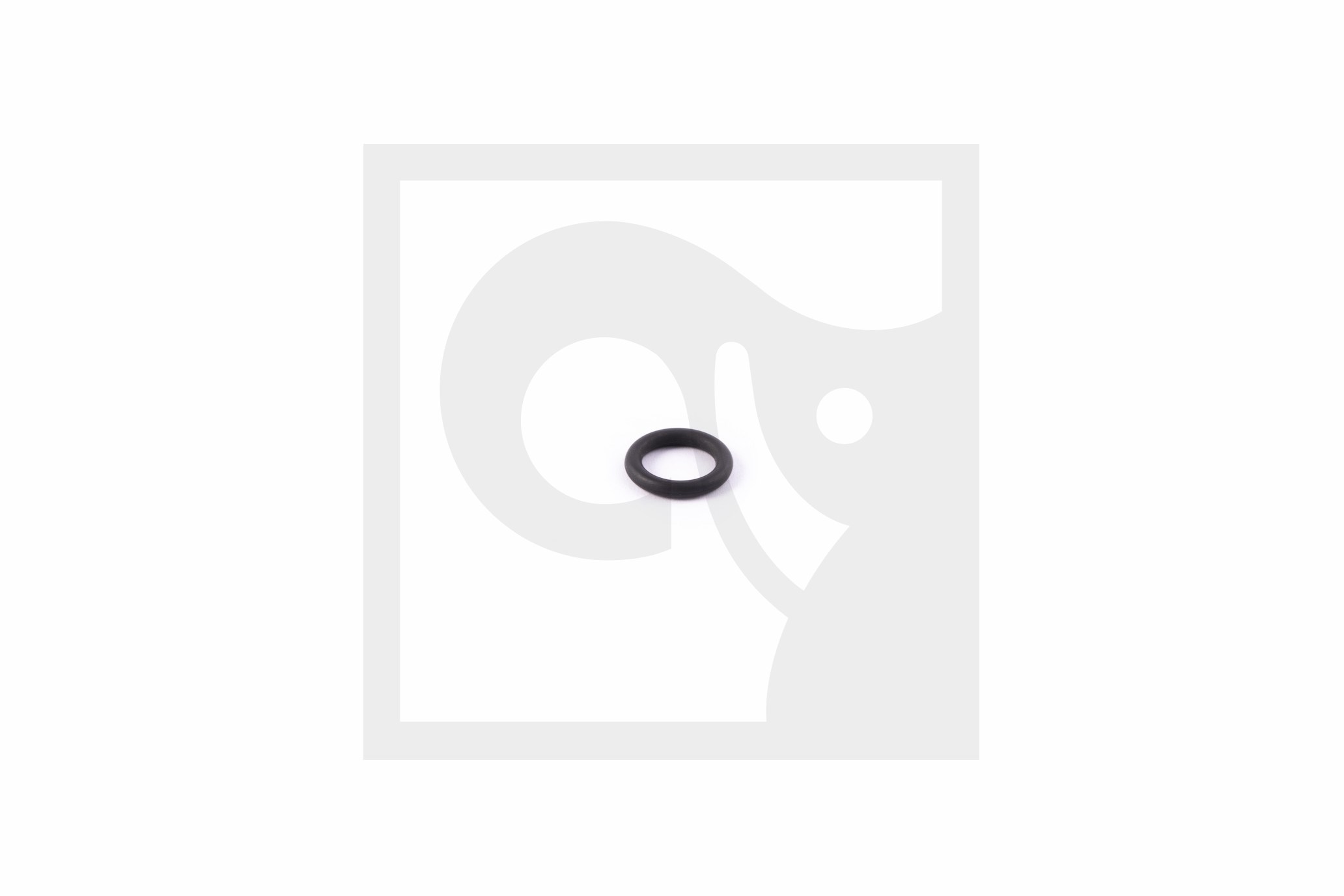 O-RING