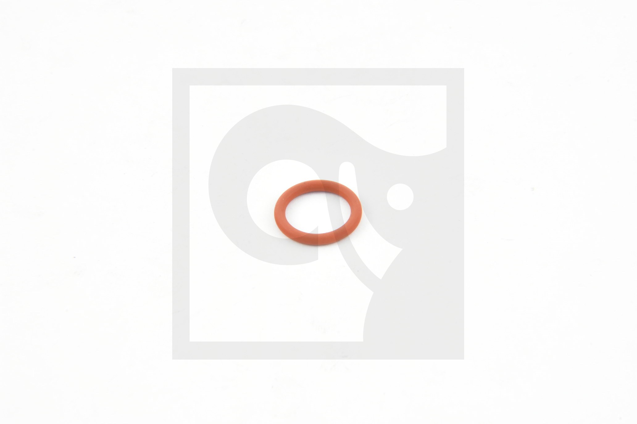 O-RING