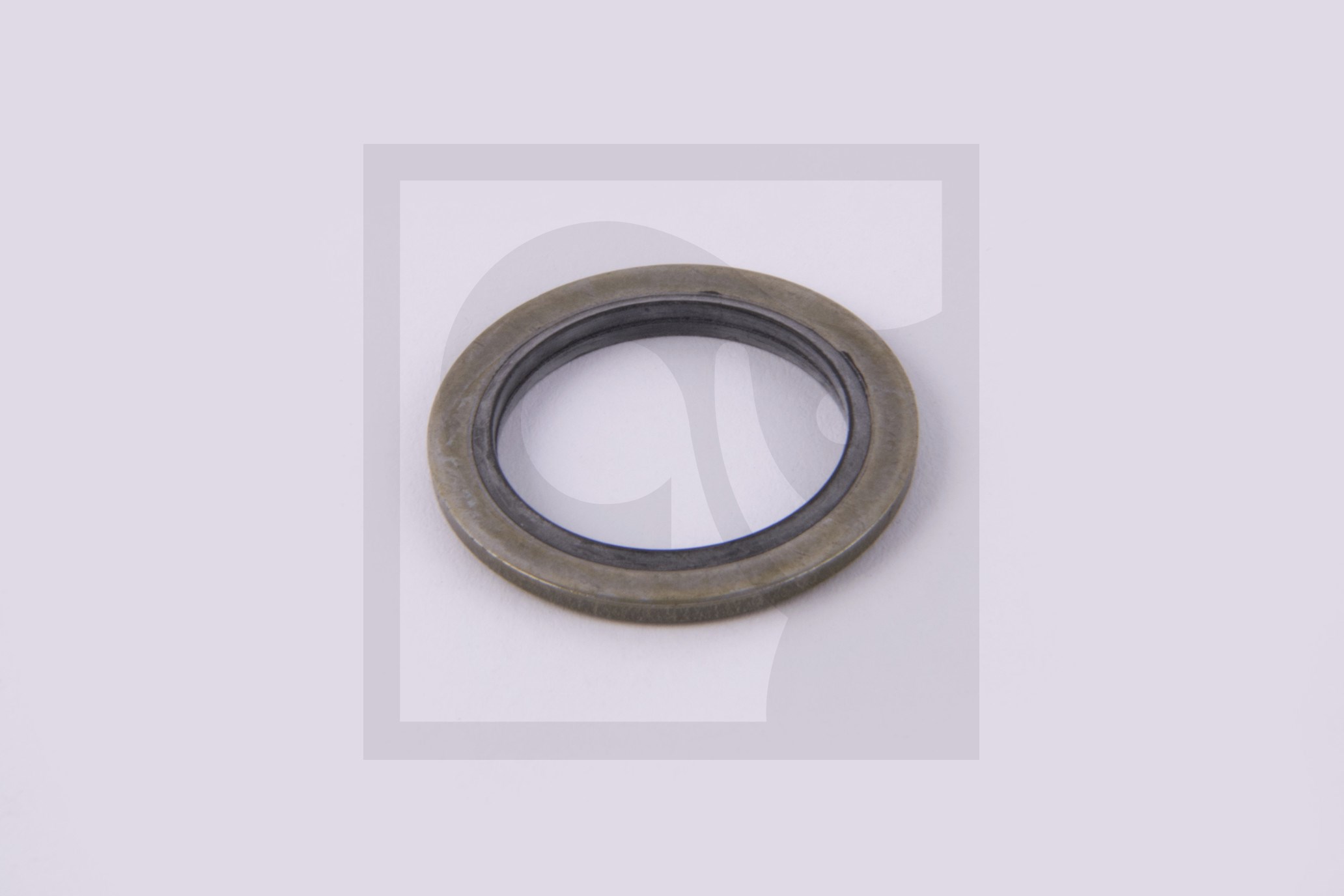 SEAL RING