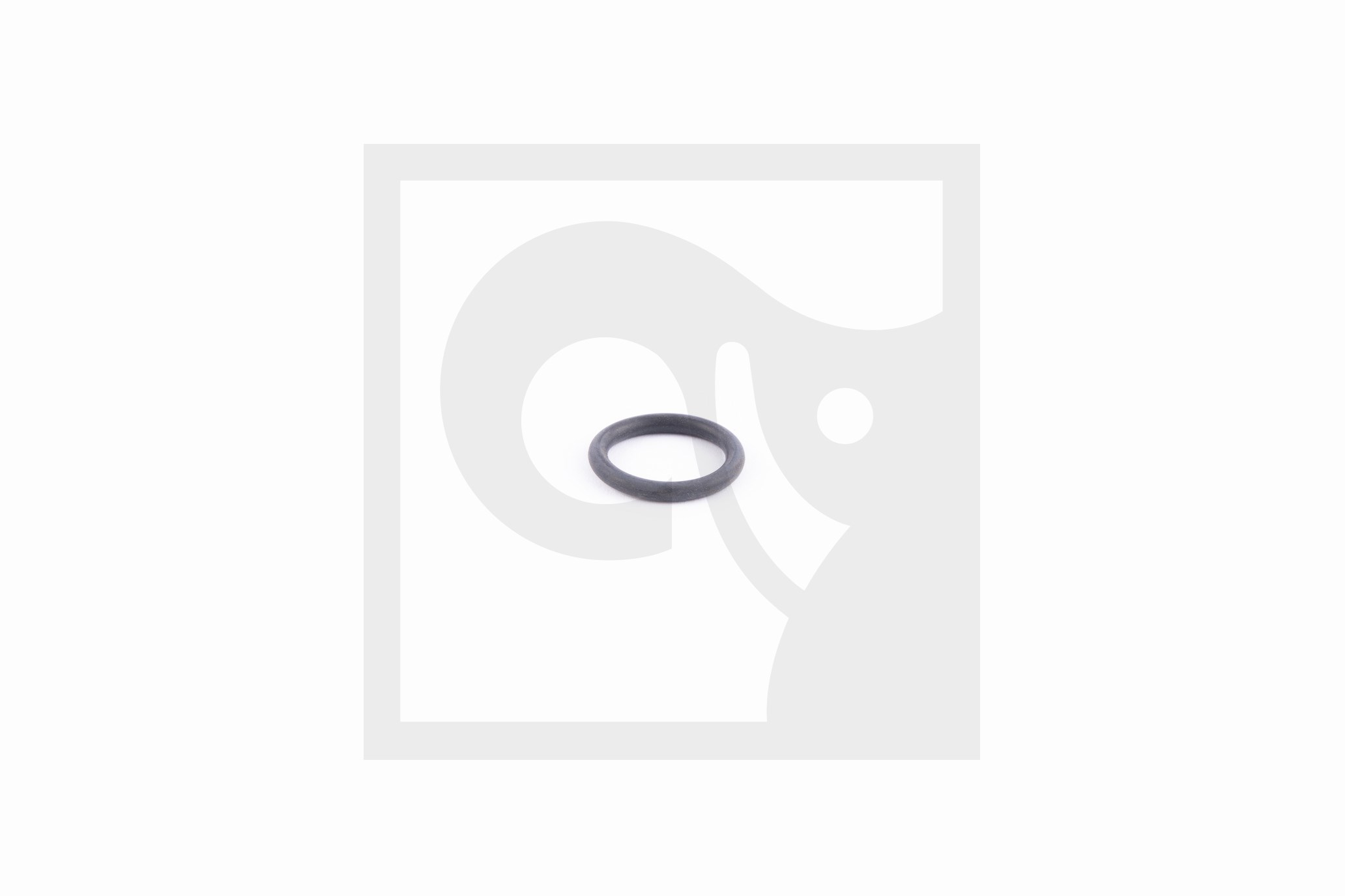 O-RING