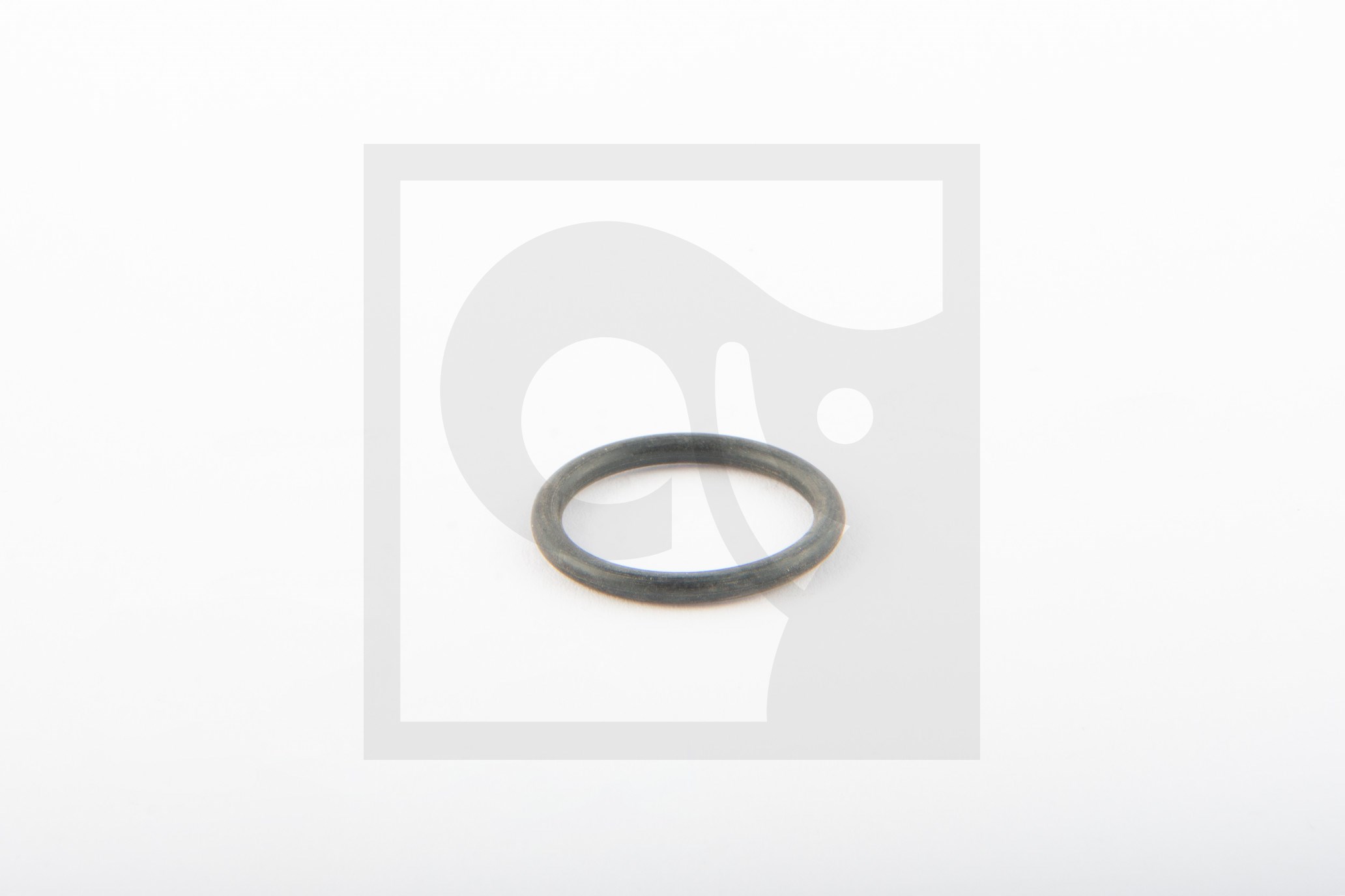 O-RING