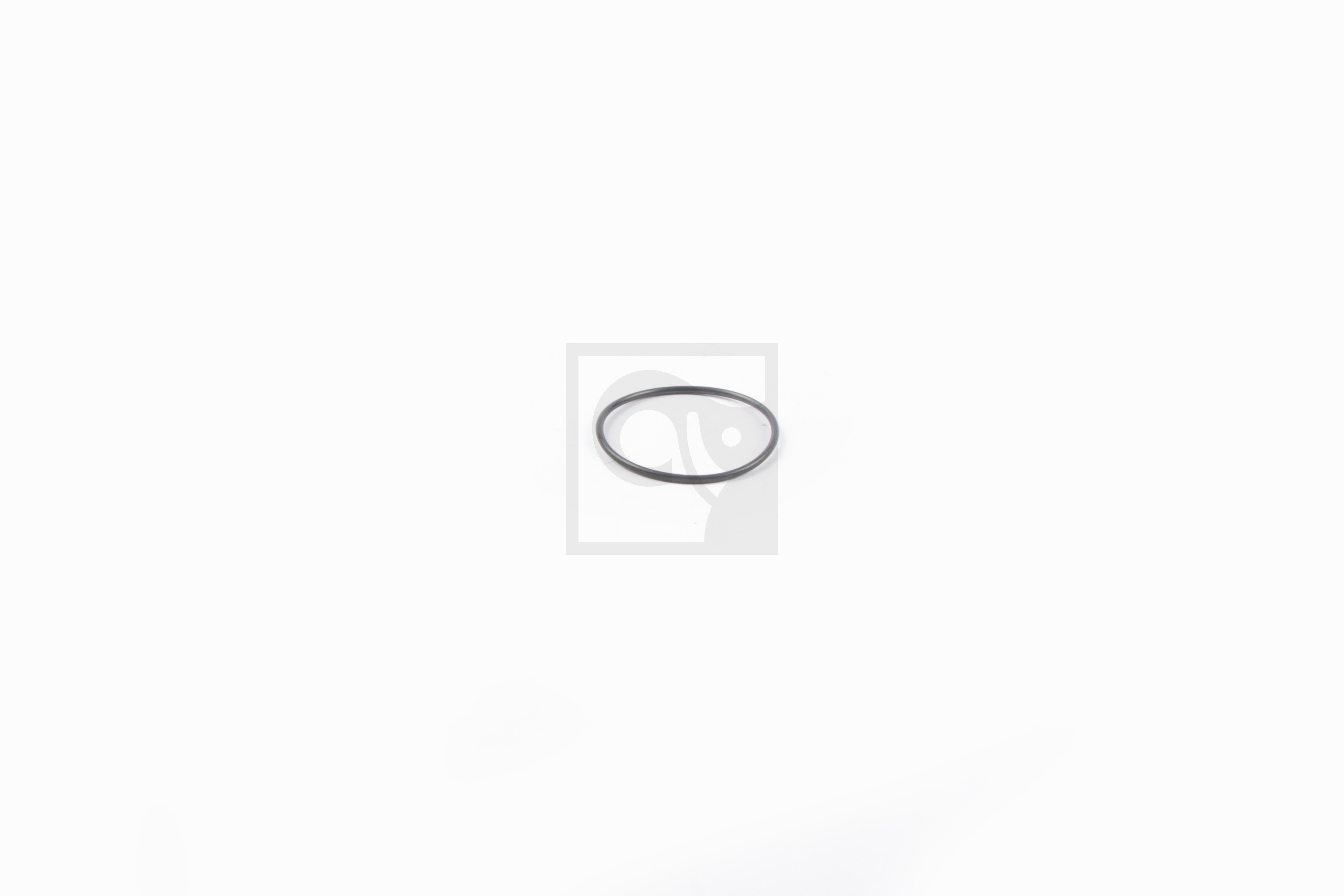 O-RING